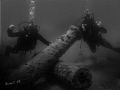   Antique cannons. cannons  